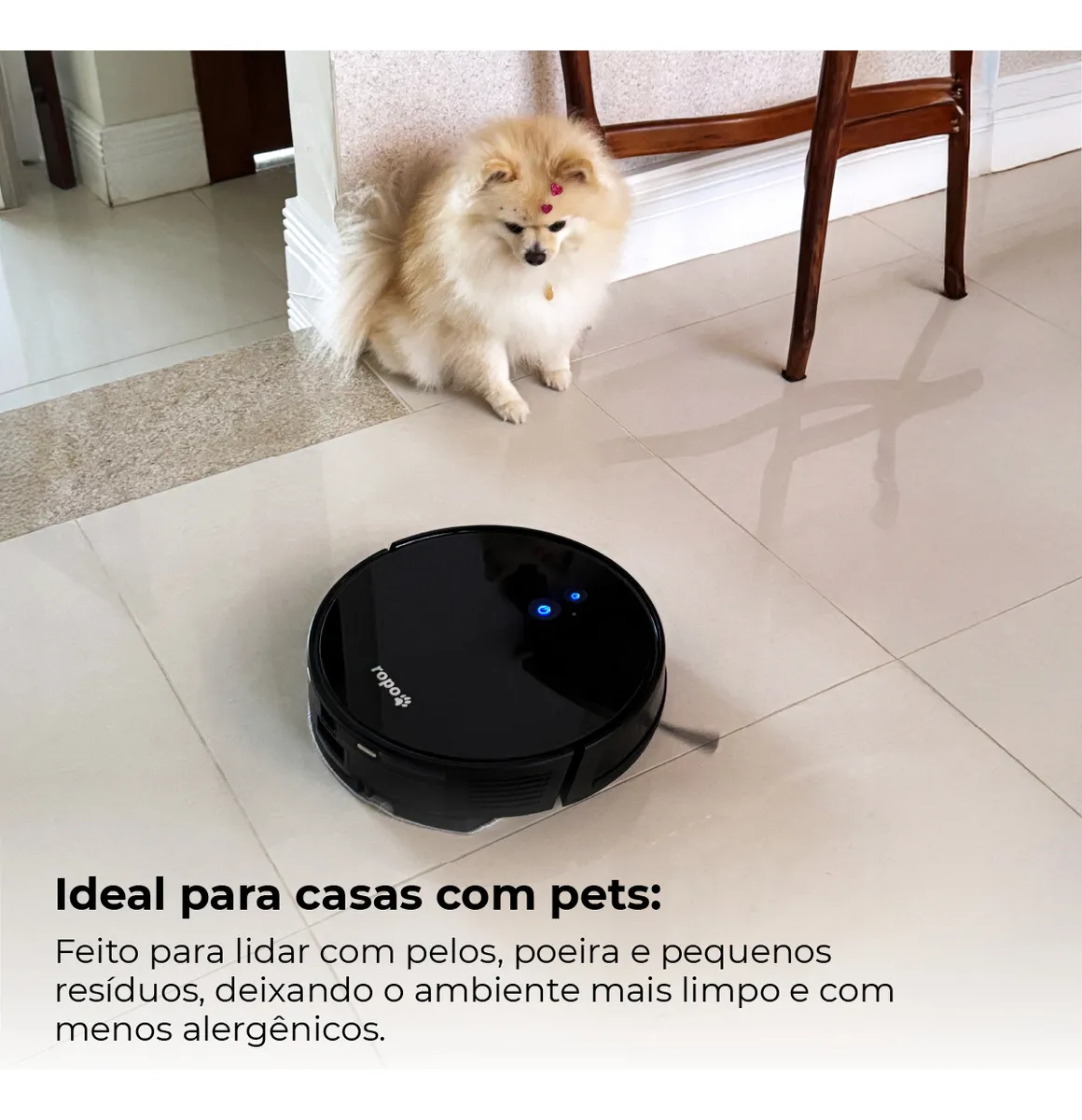 Miniatura 2 do produto
